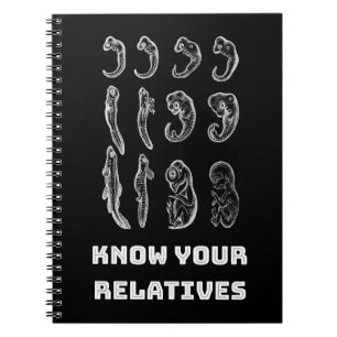 Evolution Embryogenesis Notebook