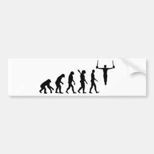 Evolution Gymnastics Bumper Sticker