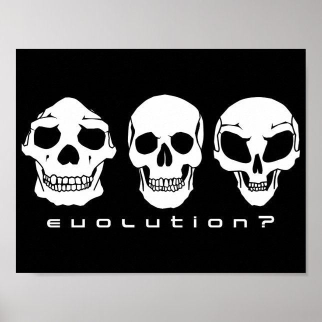 Evolution? Human to alien skull poster (Front)