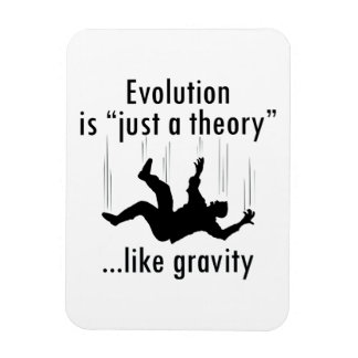 Evolution is just a theory magnet