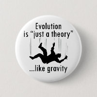 Evolution Just a Theory
