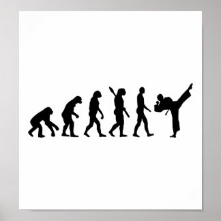 Evolution Karate kickboxing Poster