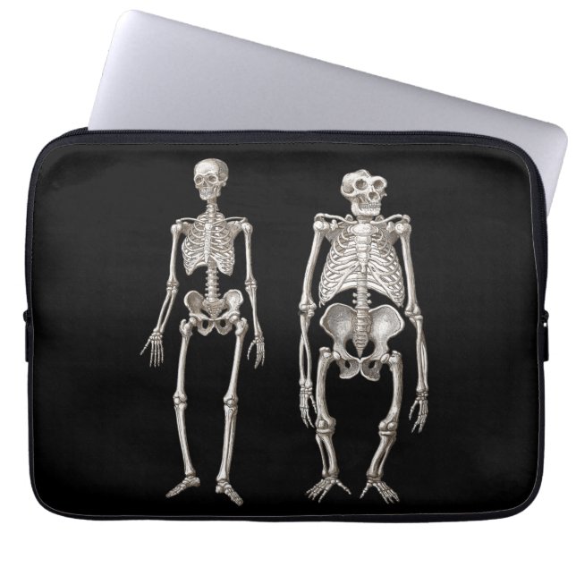 Evolution Man and Ape Skeletons Laptop Sleeve (Front)