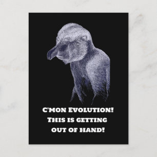 Evolution Monkey Postcard