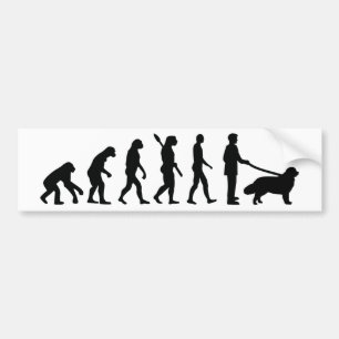 Evolution Newfoundland Bumper Sticker