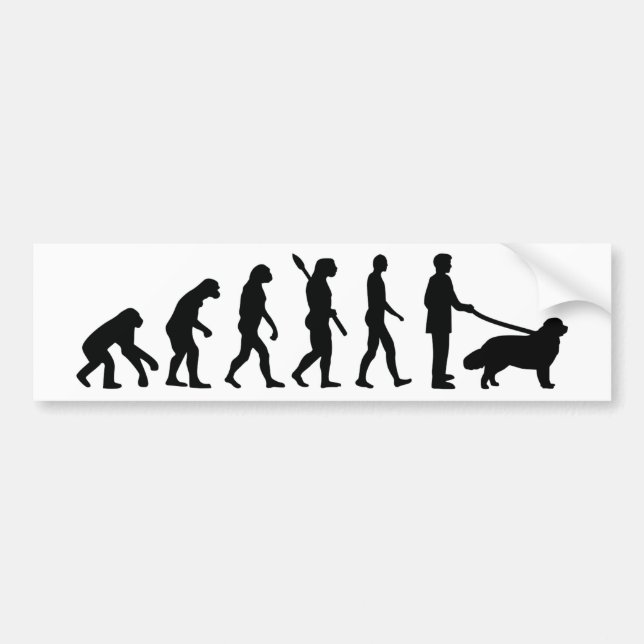 Evolution Newfoundland Bumper Sticker (Front)
