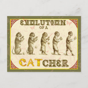 Evolution of a Catcher Postcard