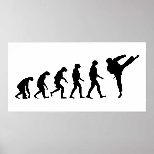 Evolution of Karate Poster (Front)