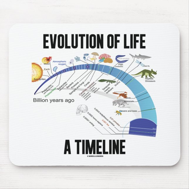 Evolution Of Life A Timeline (Biology) Mouse Mat (Front)