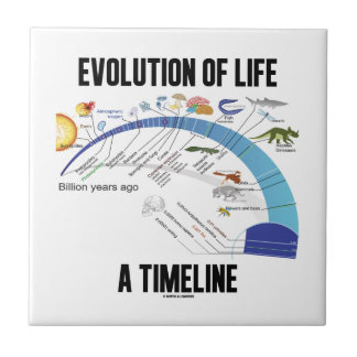 Evolution Of Life A Timeline (Biology) Tile