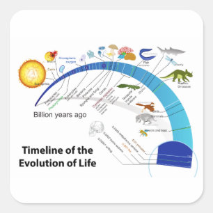 Evolution of Life on Earth Timeline Diagram Square Sticker