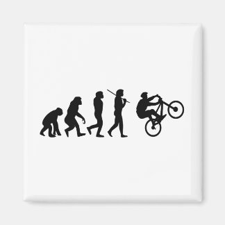 Evolution of the cyclist magnet
