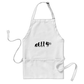 Evolution of the cyclist standard apron