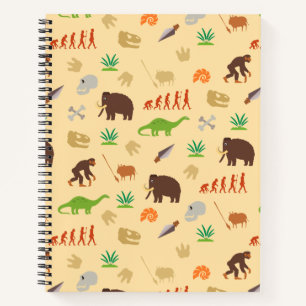 Evolution Pattern Notebook