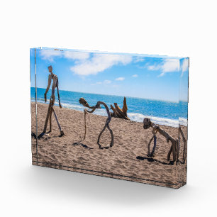 Evolution Photo Block
