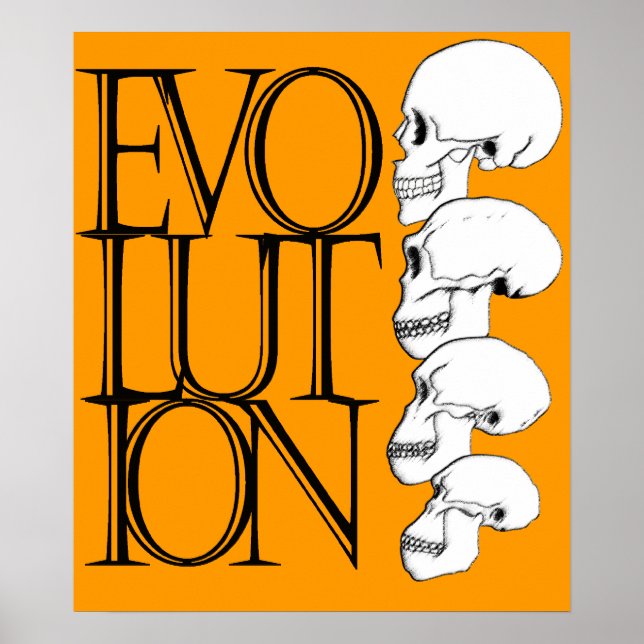 Evolution Poster (Front)