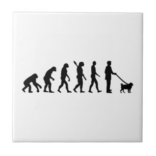 Evolution Pug Tile