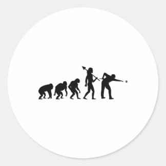 Evolution Rack Pool Billiard Player Billiards Cue Classic Round Sticker