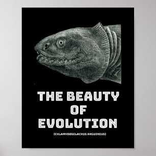 Evolution shark beauty poster