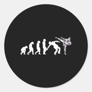 Evolution Taekwondo Karate Aikido Ju Jutsu Kung Fu Classic Round Sticker