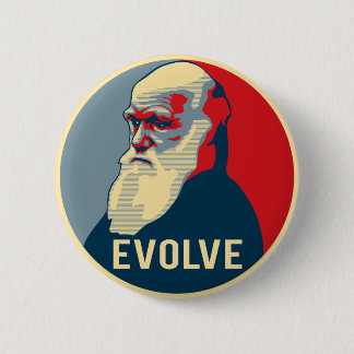 Evolve 6 Cm Round Badge