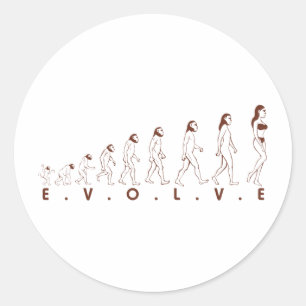 evolve classic round sticker