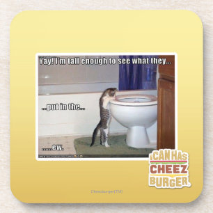 ew coaster