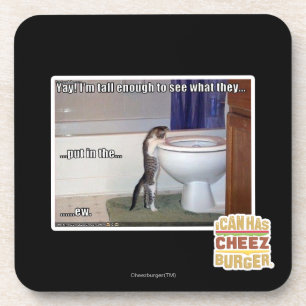 ew coaster