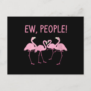 Ew People Flamingo Social Distancing Tropical Postcard