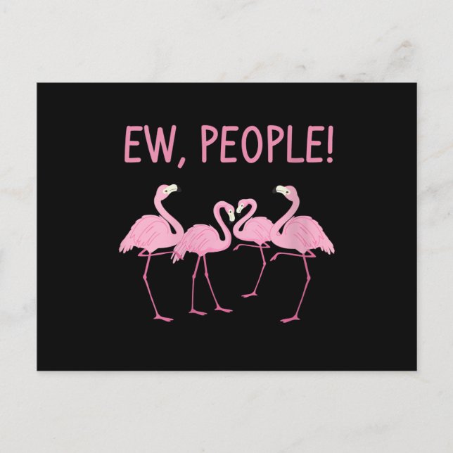 Ew People Flamingo Social Distancing Tropical Postcard (Front)