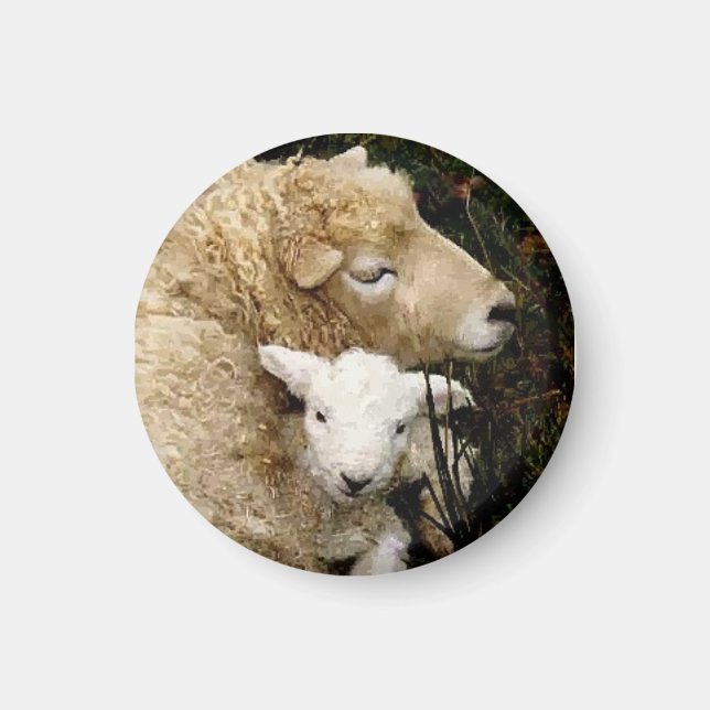 Ewe and Lamb Magnet (Front)
