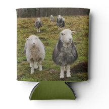 Ewe do you
