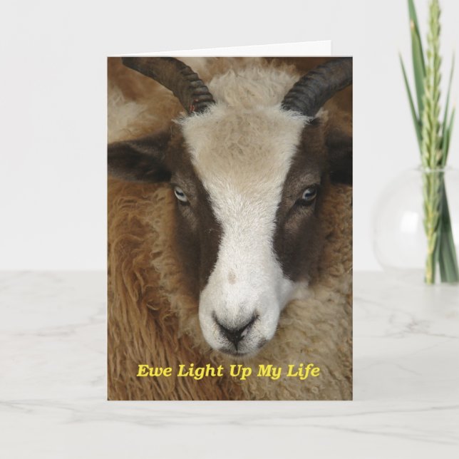 Ewe Light Up My Life Birthday Card (Front)