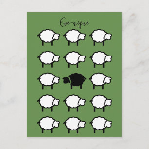 ewe-nique quote black sheep unique postcard