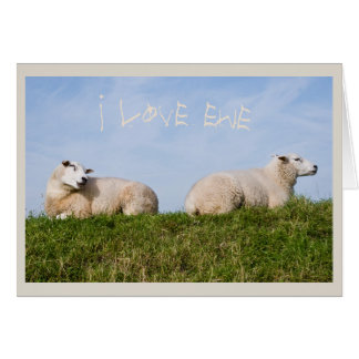 Ewe Who