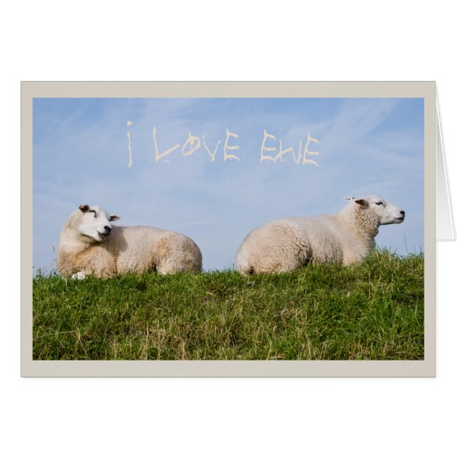 Ewe Who (Front Horizontal)