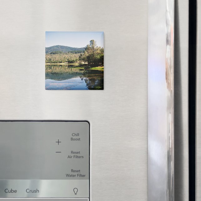 Ewing Reservoir.... Magnet (In Situ (Fridge))
