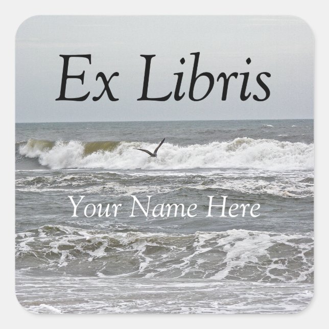 Ex Libris - Surf and Gull Sticker (Front)