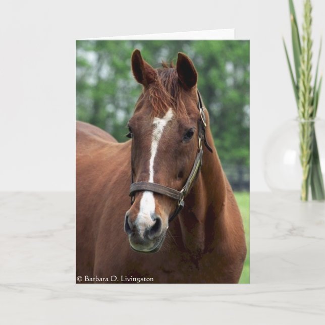 Exactly So Portrait Card (Front)