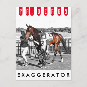 Exaggerator Postcard