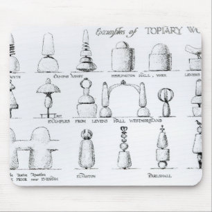 Examples of Topiary Work, 1902 (engraving) (b/w ph Mouse Mat