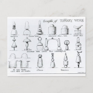 Examples of Topiary Work, 1902 (engraving) (b/w ph Postcard