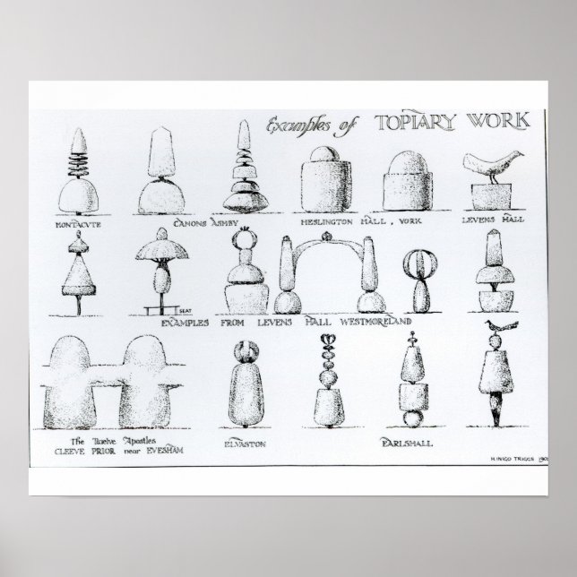 Examples of Topiary Work, 1902 (engraving) (b/w ph Poster (Front)