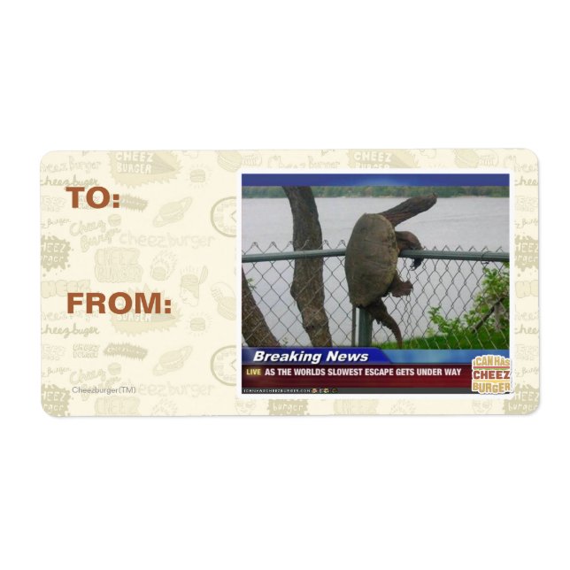 Excaping Turtle (Front)