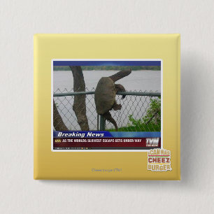 Excaping Turtle 15 Cm Square Badge