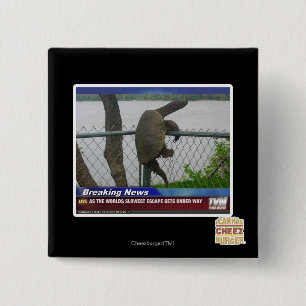 Excaping Turtle 15 Cm Square Badge