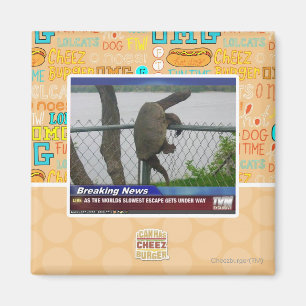 Excaping Turtle Magnet