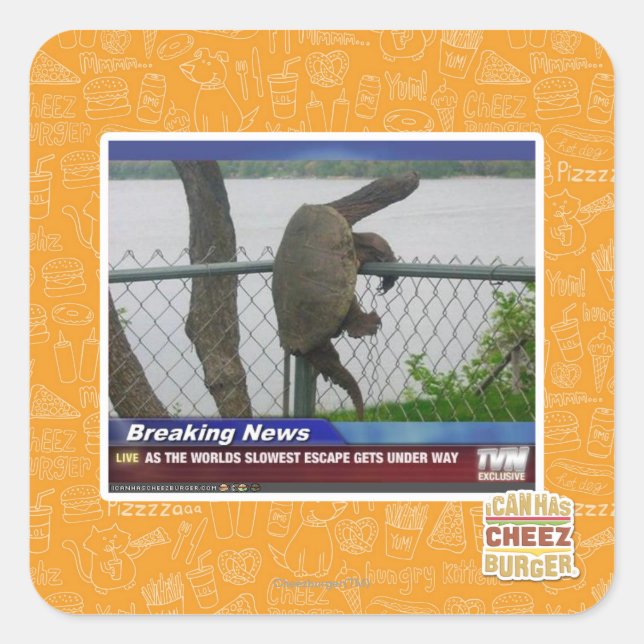 Excaping Turtle Square Sticker (Front)