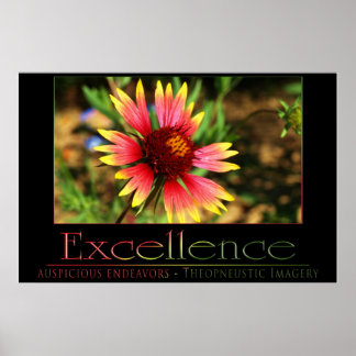 Excellence Poster