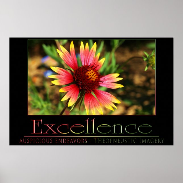 Excellence Poster (Front)